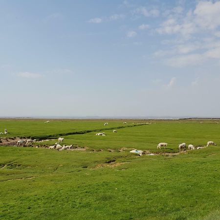 Kleines Haeuschen Am Deich, Vor Den Toren Von Sylt Villa Emmelsbüll-Horsbüll Dış mekan fotoğraf